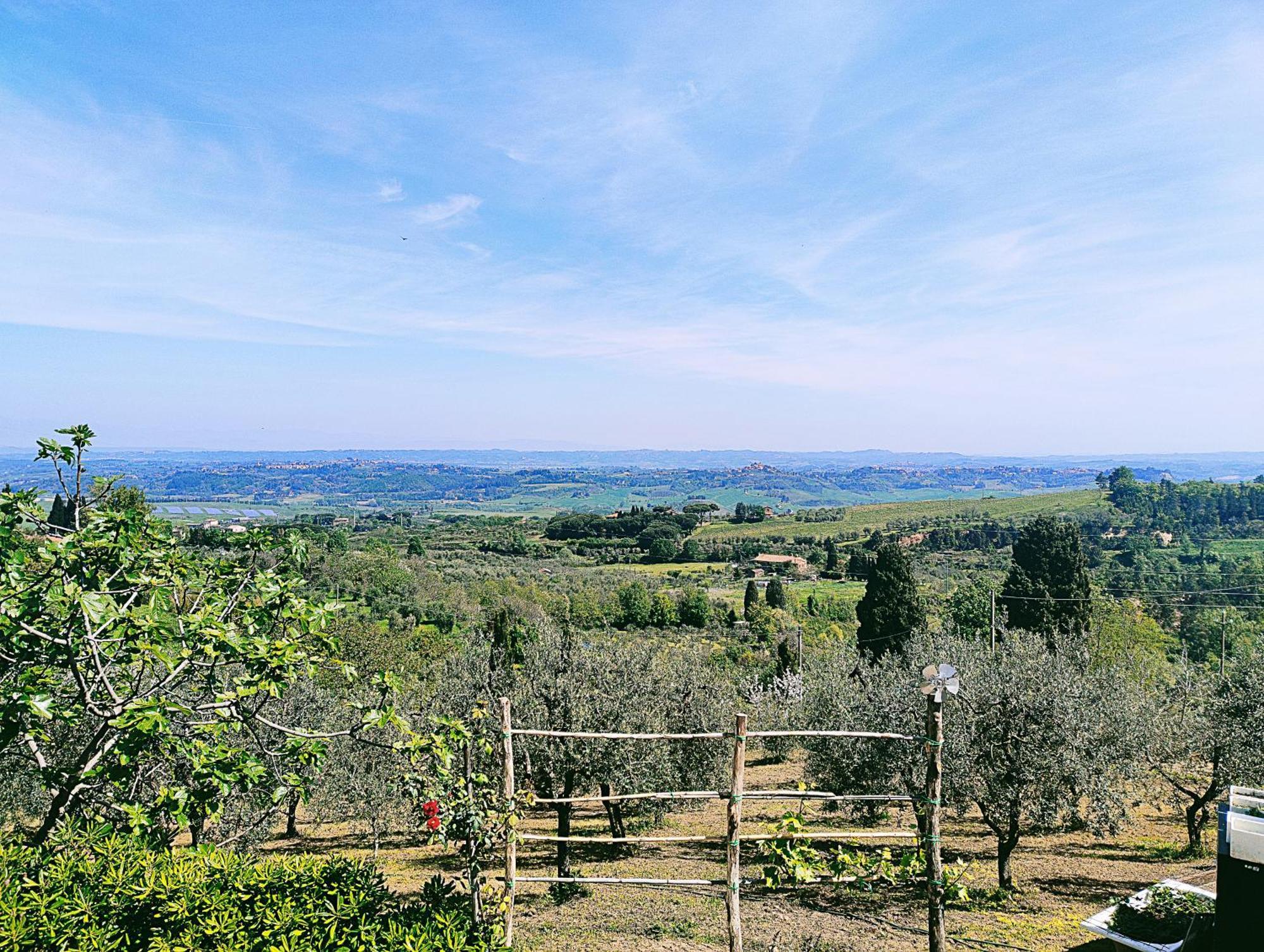 La Casina Di Colle - Appartamento Rustico Sulle Colline Di Pisa Casciana Terme Exterior photo